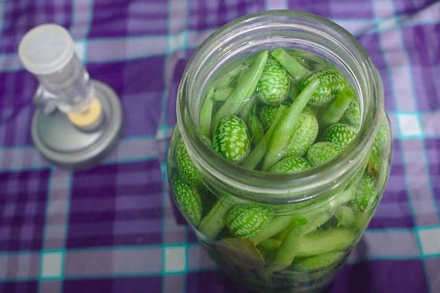 Verdure fermentate – la salute passa dall’intestino