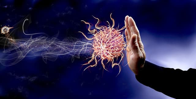 virus e sistema immunitario